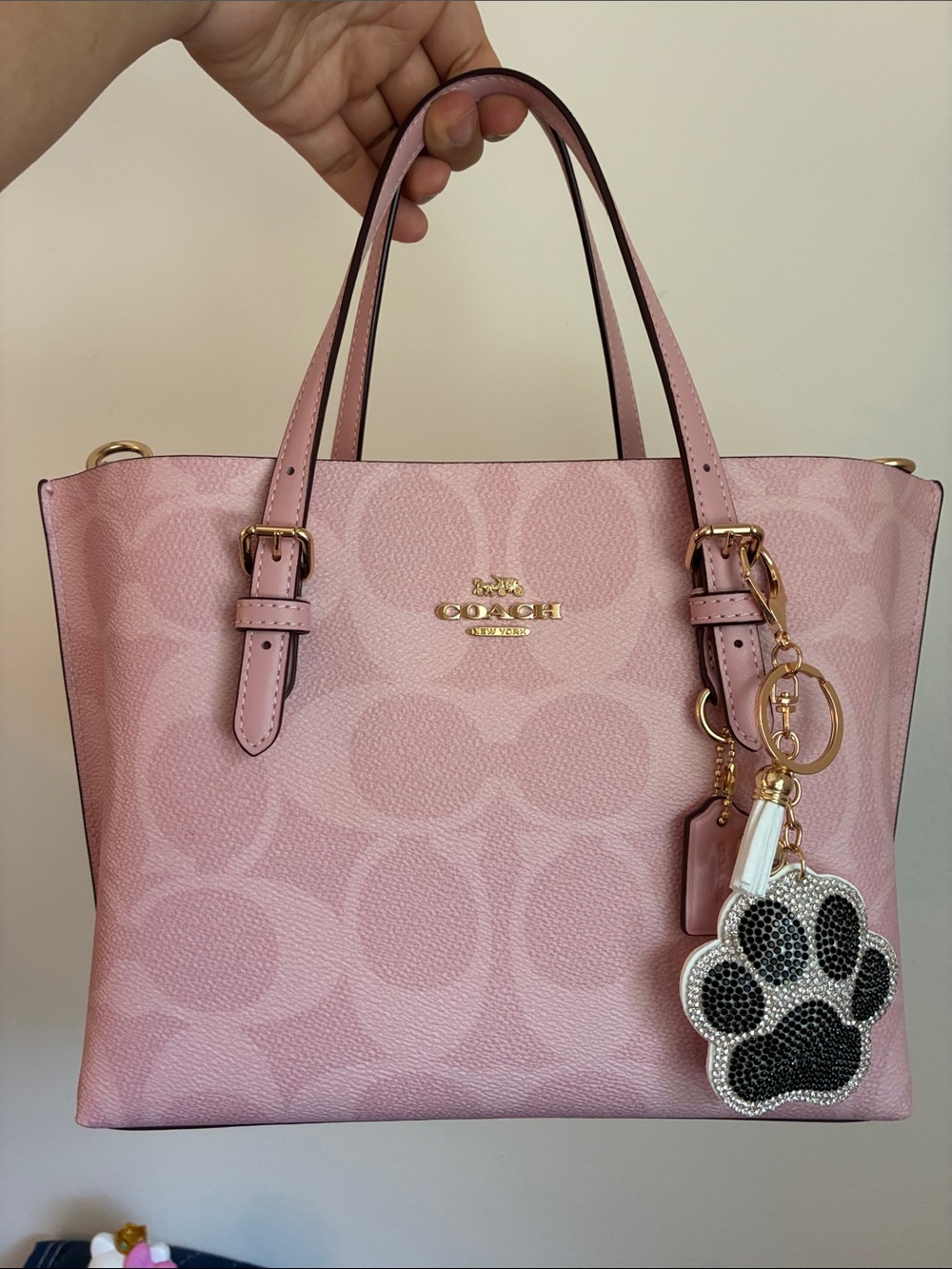 2/$20🎀 Crystal Doggy Paw Print Keychain with White Tassel